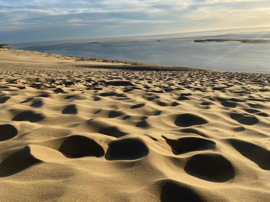 Villa Arcachon 12 Pers Avec Piscine Chauffee 1 Mai Au 30 Sept المظهر الخارجي الصورة